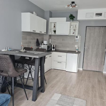 Phoenix Luxury Apartment Oradea Bagian luar foto