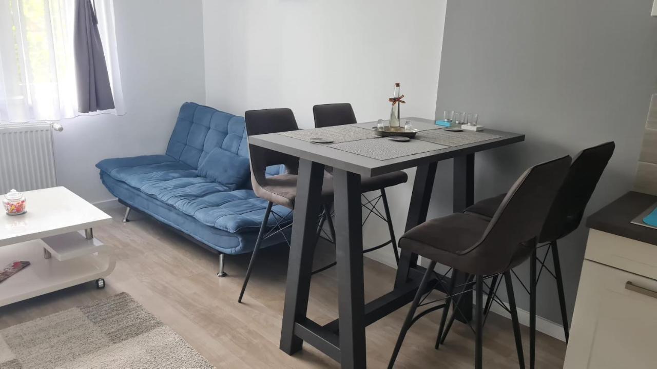 Phoenix Luxury Apartment Oradea Bagian luar foto