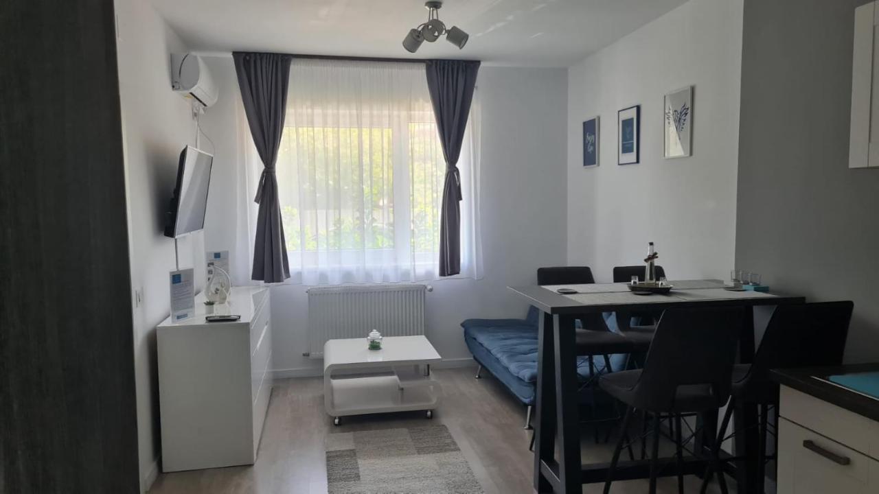 Phoenix Luxury Apartment Oradea Bagian luar foto