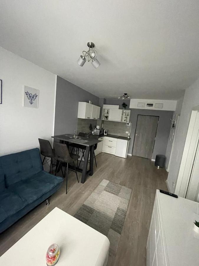 Phoenix Luxury Apartment Oradea Bagian luar foto