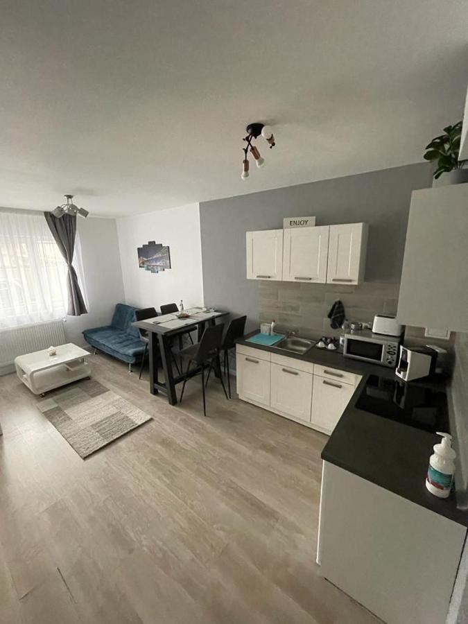 Phoenix Luxury Apartment Oradea Bagian luar foto