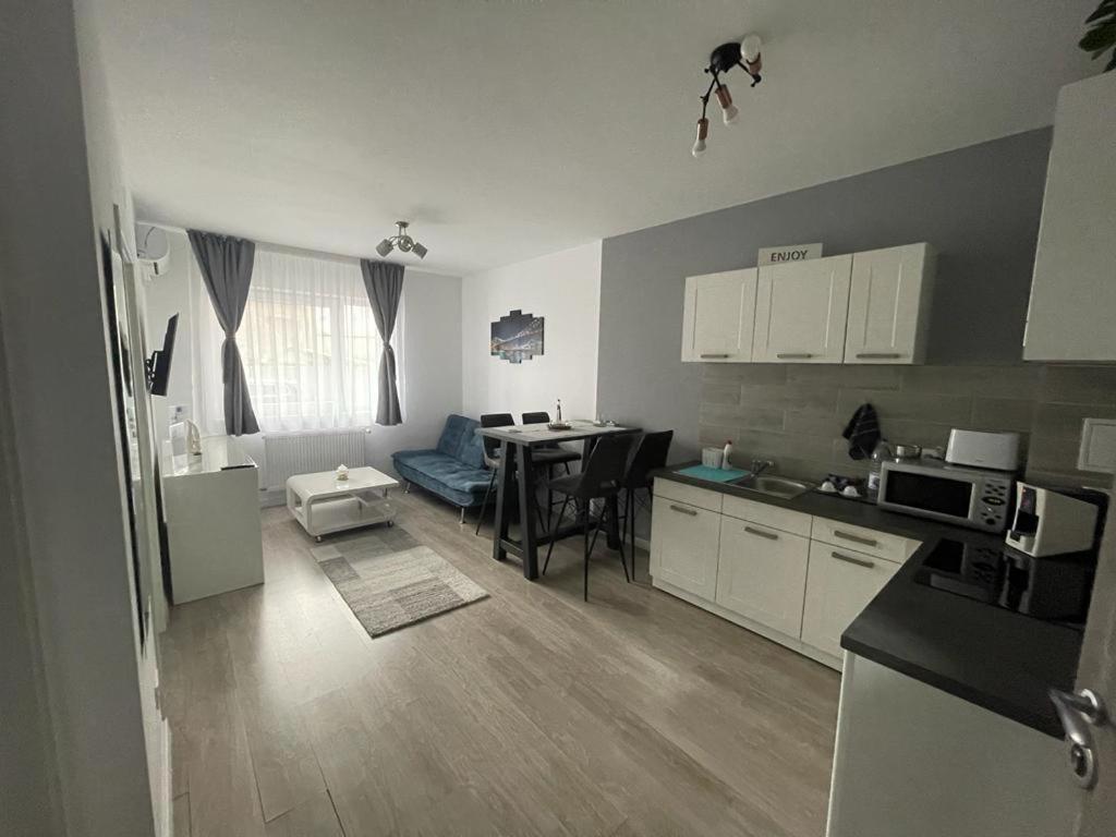 Phoenix Luxury Apartment Oradea Bagian luar foto